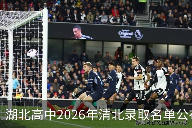 湖北高中2026年清北录取名单公布