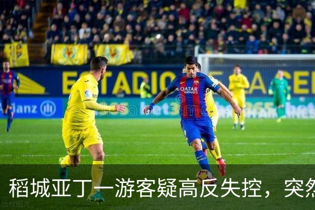 稻城亚丁一游客疑高反失控，突然快速冲下山坡，一头栽倒在灌木丛中，抱头痛苦大喊......工作人员：脑水肿的表现，已及时救治