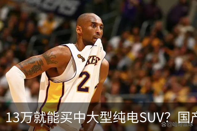 13万就能买中大型纯电SUV？国产硬货对比老牌德系，差距比想象中大